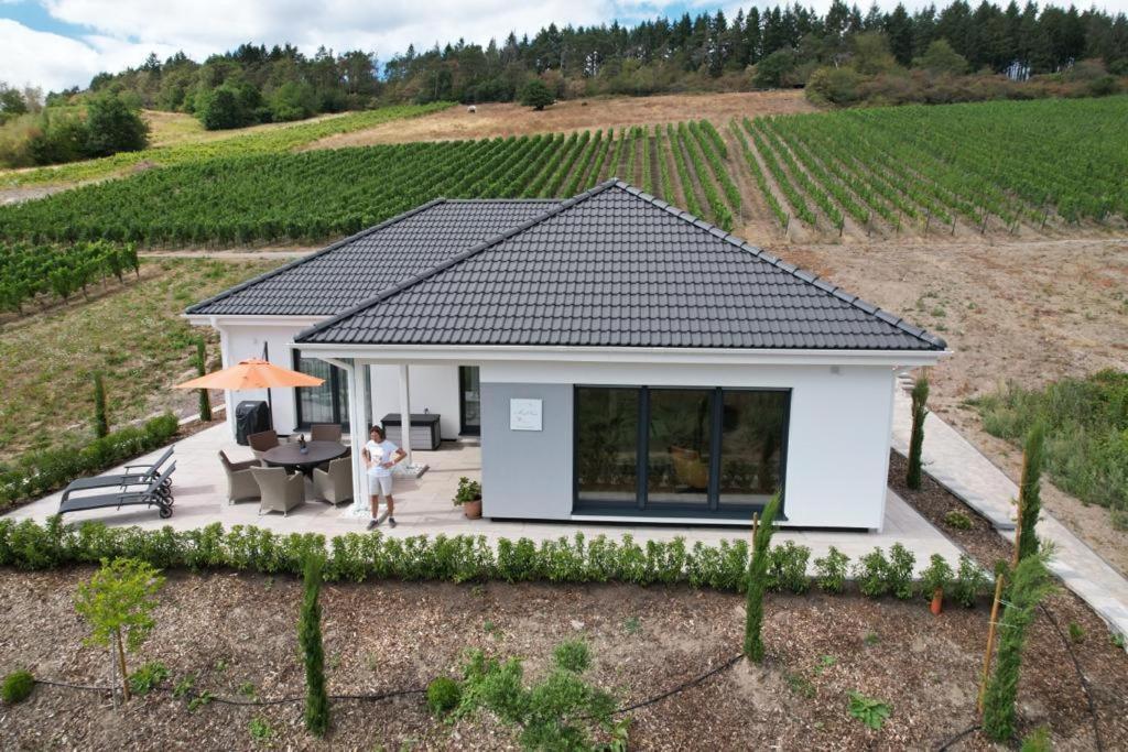 Neu - Premium-Ferienhaus Mosel-Sonne Traben-Trarbach Luaran gambar